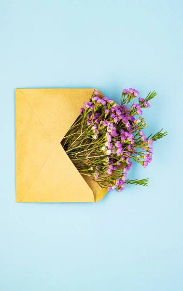 Champ Violet Fleurs Printanières Dans Une Enveloppe Sur Fond Bleu — Photo