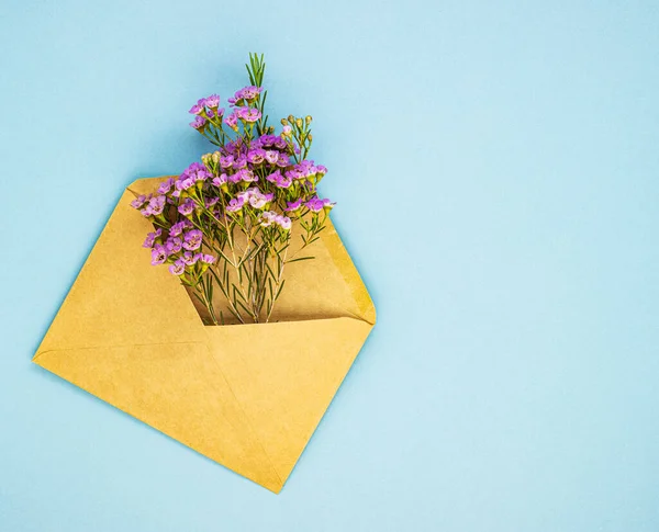 Belles Fleurs Violettes Printanières Dans Une Enveloppe Postale Sur Fond — Photo