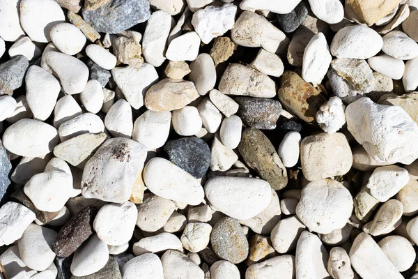 Arka Planda Yuvarlak Taşlar Olan Küçük Çakıl Taşları Nehir Kıyısında — Stok fotoğraf