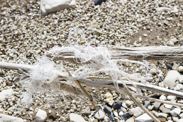 Plastové Lano Skalnatém Břehu Řeky Nebo Moře Koncepce Znečištění Řek — Stock fotografie