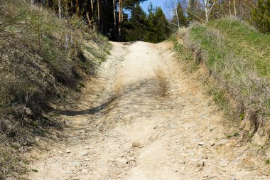 Dağda yeşil çimlerle çevrili kayalıklarla kaplı kumlu bir yol. Orman yaz yolu
