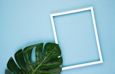 Tropikal yapraklardan oluşan yaratıcı bir düzen ve pastel mavi arka planda beyaz bir sınır. Doğanın güzelliği kavramı. Egzotik tropik arka plan. Düz yatıyordu