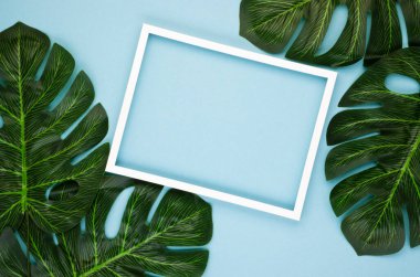 Tropikal yapraklardan oluşan yaratıcı bir düzen ve pastel mavi arka planda beyaz bir sınır. Doğanın güzelliği kavramı. Egzotik tropik arka plan. Düz yatıyordu