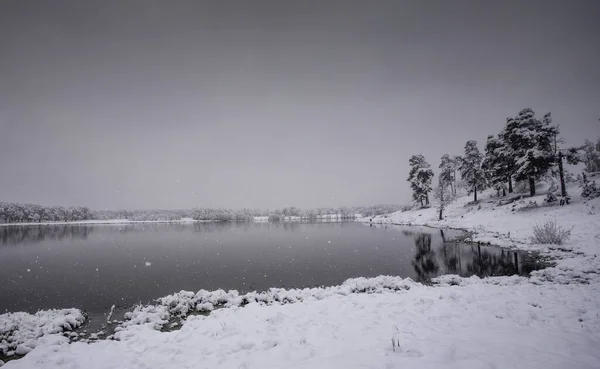 Neige Sur Rive Lac — Photo