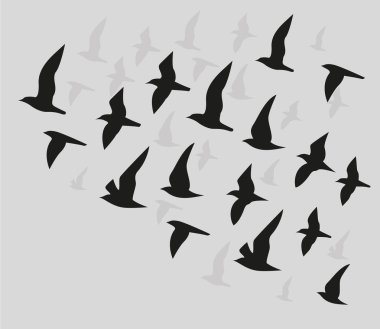 Uçan kuşlar Vector_Silhouettes