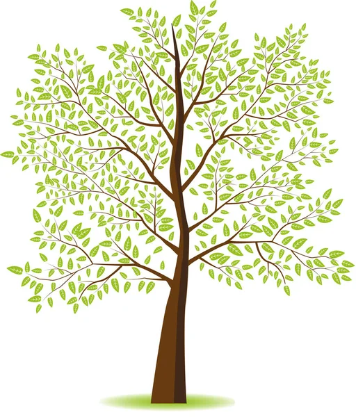 Platt stil träd — Stock vektor
