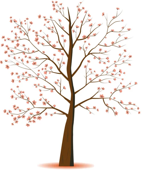 Flat style tree — Stock Vector