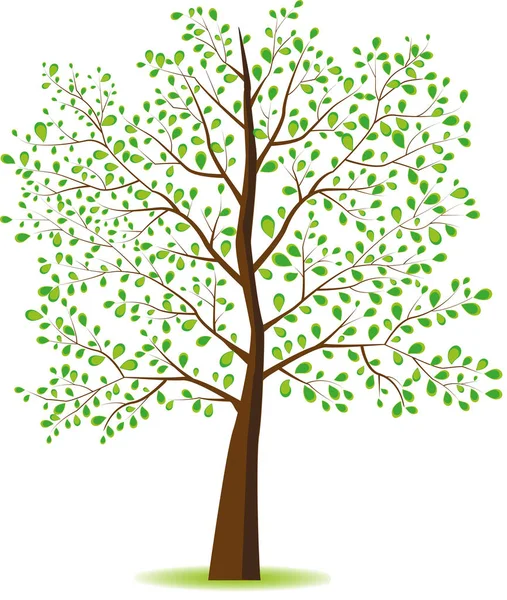 Плоский стиль дерево — стоковий вектор