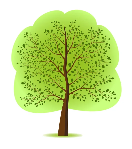 Flat style tree — Stock Vector