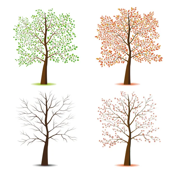 Set of stylized trees. — Stock Vector