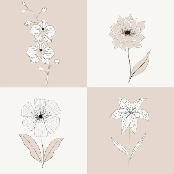Collection Croquis Floraux Pour Conception Logo Les Impressions — Image vectorielle