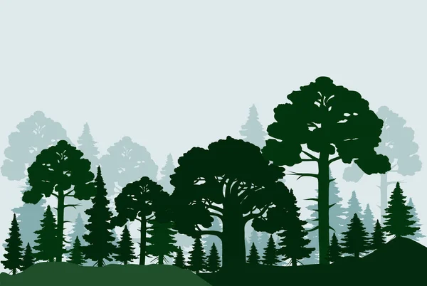 森林背景 有冷杉和松树的轮廓 矢量说明 — 图库矢量图片
