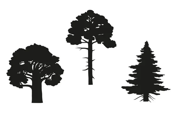 Set Trees Silhouettes — Stock Vector