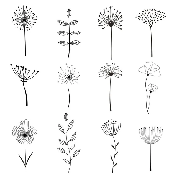 Conjunto Elementos Florales Florales — Archivo Imágenes Vectoriales