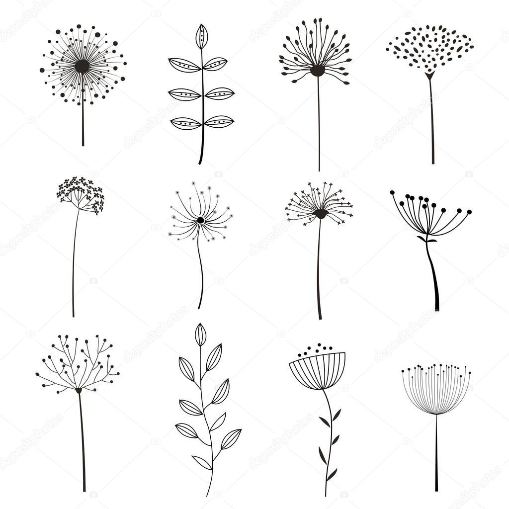 Collection of flower and floral elements