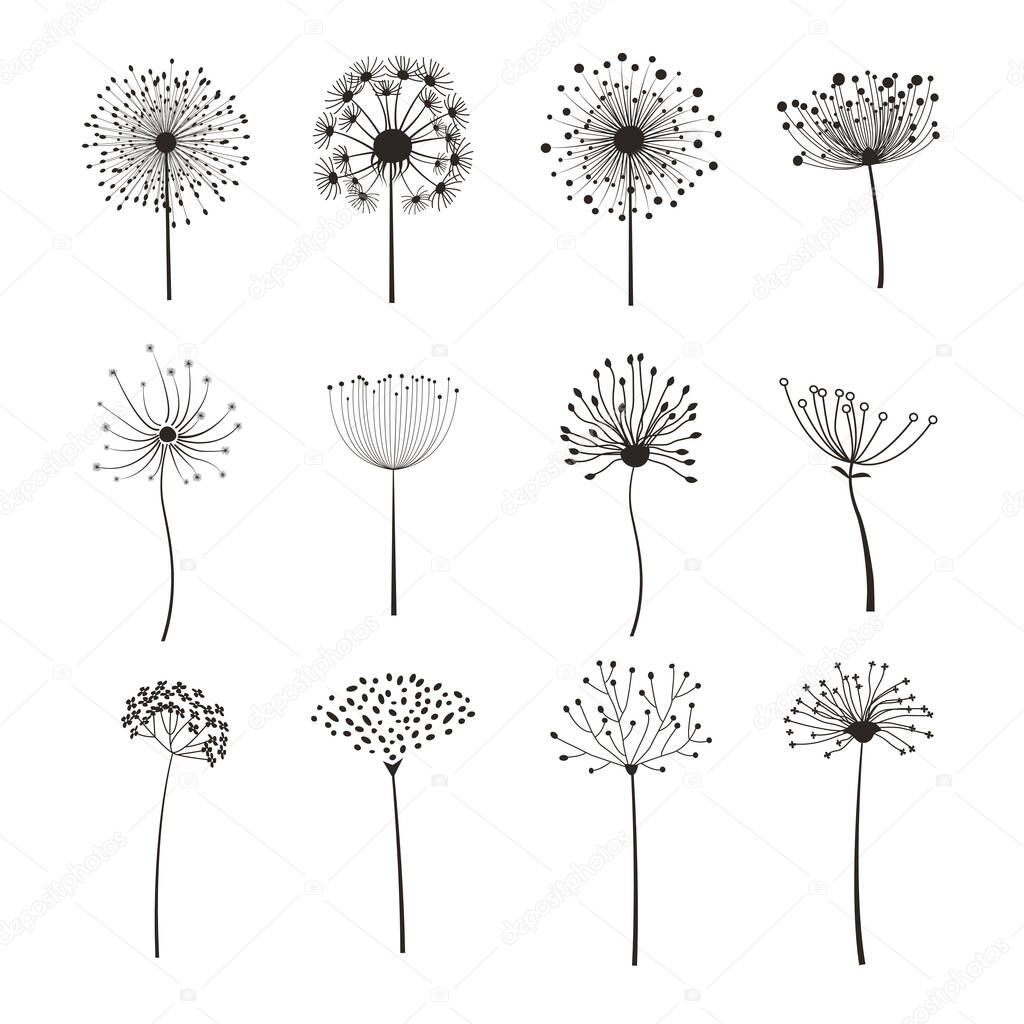 Set of  flower elements