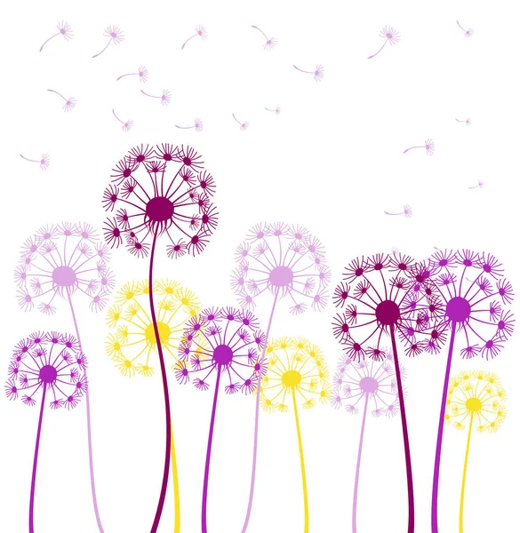 Colorful Dandelion Background Isolated White — Stock Vector