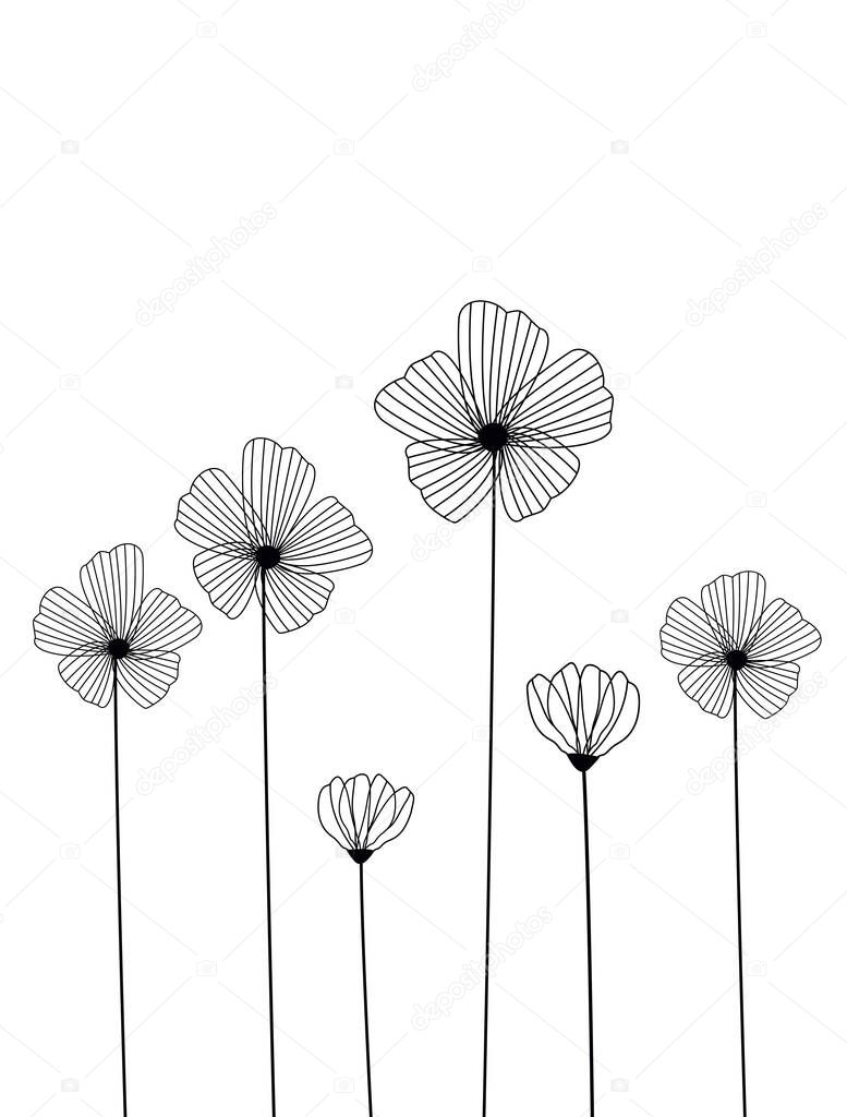 Flowers background isolated on white