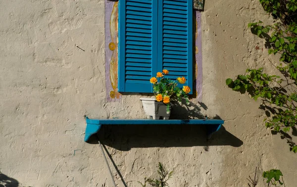 Réveil Des Arbres Jardin Des Fleurs Les Premières Fleurs Printemps — Photo