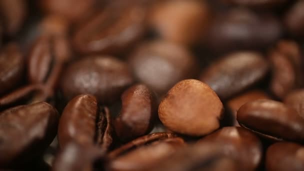 Hafif kavrulmuş kahve çekirdekleri, acı tatlı içecek keyifli aroması, seçilmiş sıralama — Stok video