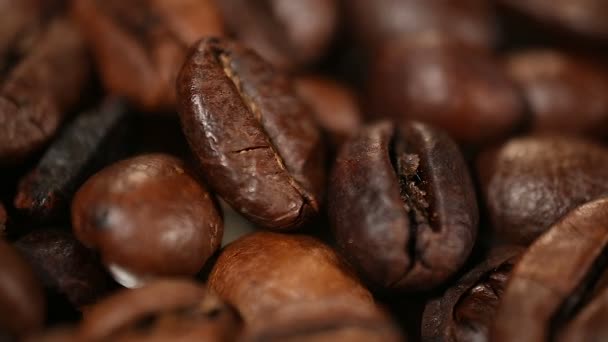 Ausgewählte dunkel geröstete Kaffeebohnen, reichhaltiges Aroma und Geschmack von Espresso im Café — Stockvideo