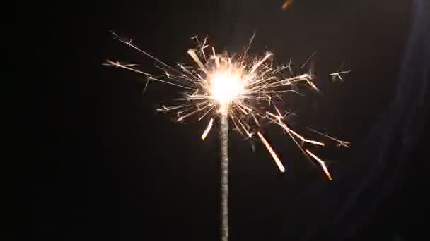 Ігристе бенгальське світло горить у темряві, щаслива атмосфера на новорічній вечірці — стокове відео