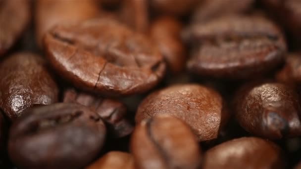 Hermosos granos de café aromáticos girando en escaparate, examen de calidad — Vídeos de Stock