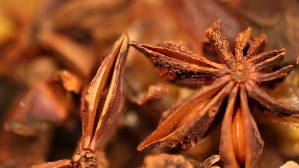 Aromatic dried anisetree spice extreme closeup, mulled wine preparation — Stock Video