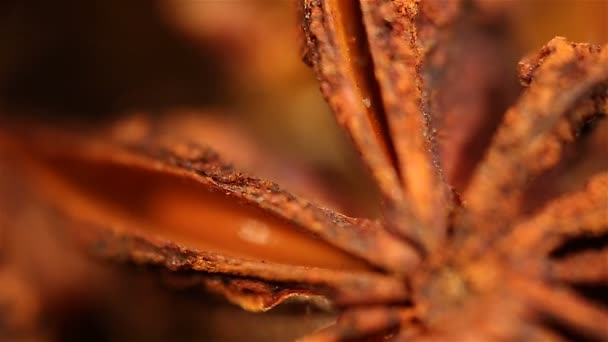 Spezia di anice essiccata esotica ruotante su piatto, primo piano estremo. Arte culinaria — Video Stock