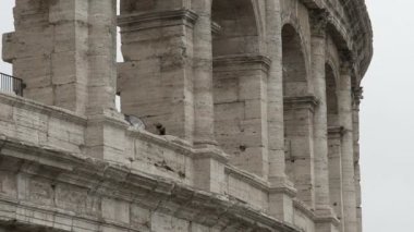 Colosseum, eski bina, Roma, İtalya Flavian amfitiyatro Panoraması