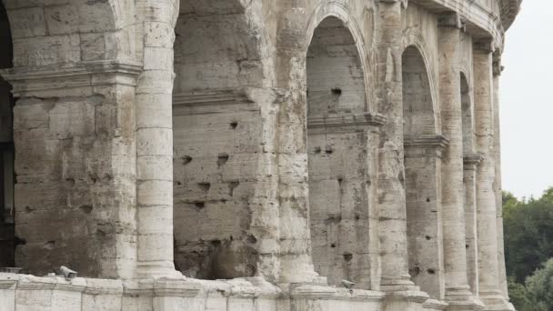 Antiguo anfiteatro Coliseo, famoso monumento histórico en Roma, Italia — Vídeo de stock