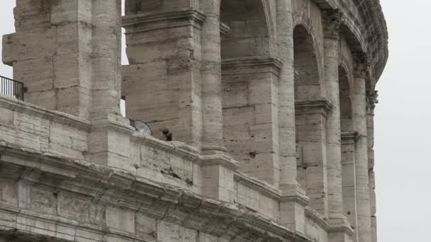 Колизей, панорама старинного здания, Флавианский амфитеатр в Риме, Италия — стоковое видео