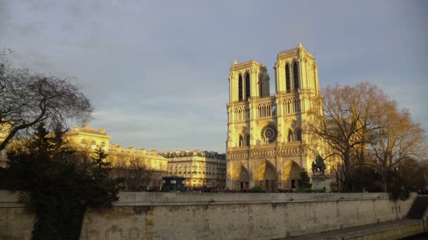 Słynna gotycka katedra Notre-Dame de Paris, piękny krajobraz, turystyka — Wideo stockowe