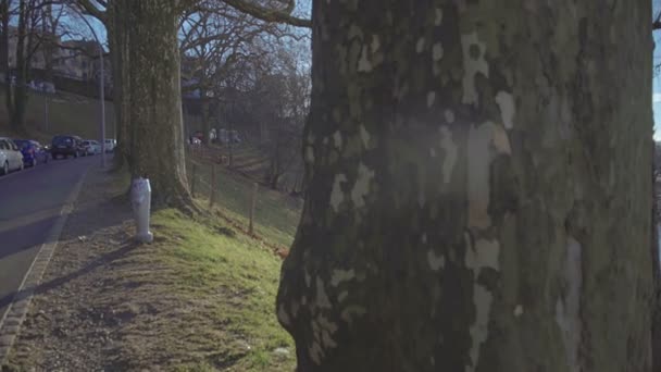 Panorama de la vieille ville européenne au bord de la rivière, journée ensoleillée, belle architecture — Video