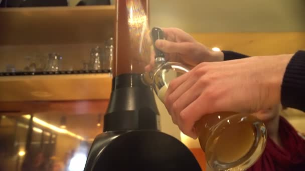 Bartenders hands pouring tasty beer into glass, professional service, brewing — Stock Video