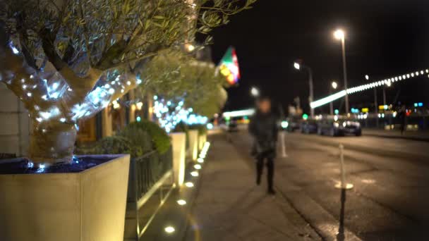 Alberi decorati in contenitori lungo marciapiede, illuminazione, vacanze invernali — Video Stock