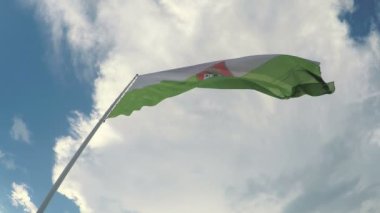 Ljubljana bayrak mavi gökyüzü arka plan, Slovenya'nın başkenti rüzgarda sallayarak