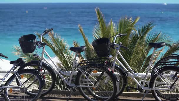 Bicicletas de cruceros de playa en la playa, vehículos para recreación activa, servicio de alquiler — Vídeo de stock