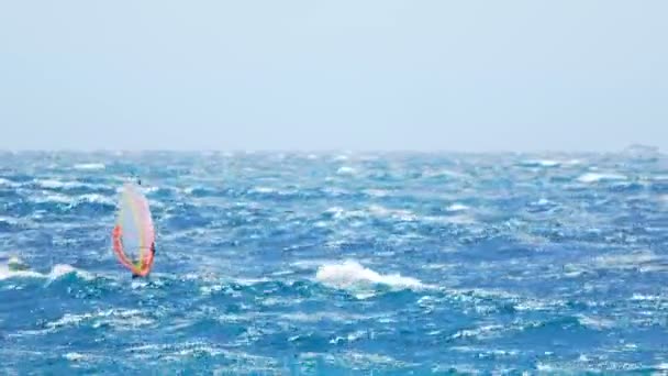 Homem atlético windsurf no oceano, estilo de vida ativo, esporte extremo popular — Vídeo de Stock