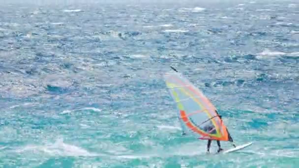 Windsurf competición, atleta experto disfrutando de la velocidad de navegación, deporte extremo — Vídeos de Stock