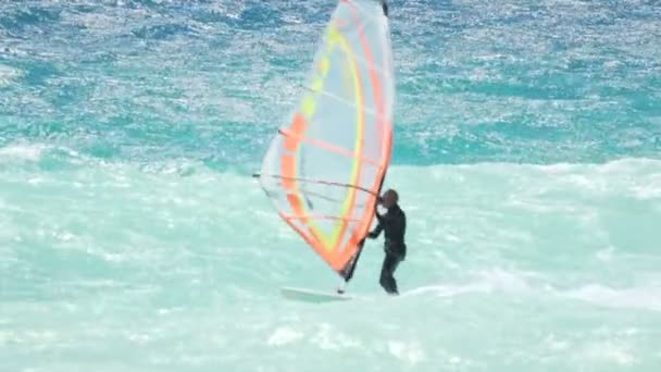 Maestro de los deportes de vela en las olas, mostrando habilidades extremas, escuela de windsurf — Vídeo de stock