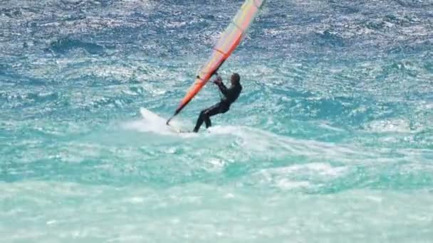 Windsurfer gliding on waves on a sunny summer day, professional sports, hobby — Stock Video