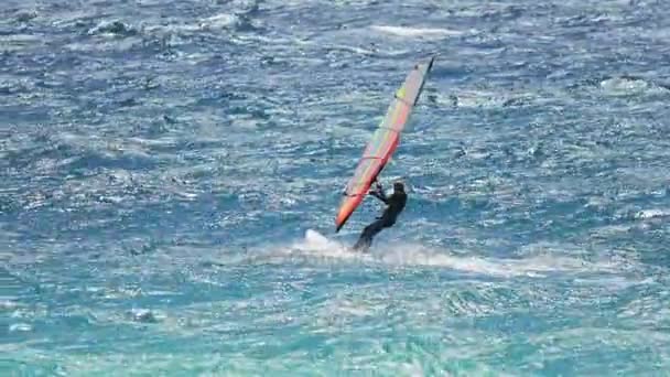 Windsurf masculino en olas profesionalmente, hobby interesante y arriesgado, estilo de vida — Vídeo de stock