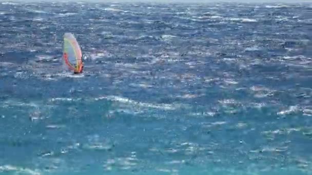 Windsurfen, gekwalificeerde persoon die grote prestaties toont op golven, actief leven — Stockvideo