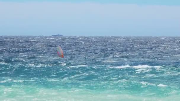 Hombre fuerte y valiente windsurf en mar azul claro, alta velocidad, deporte extremo — Vídeos de Stock