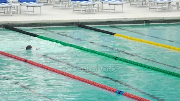 Atleta nuoto crawl ictus in piscina, allenamento prima della competizione, sport acquatici — Video Stock