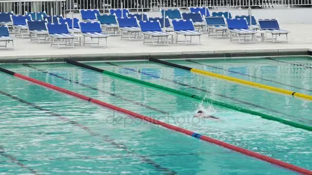 Lone man doing front crawl in sports club swimming pool, healthy lifestyle — Stock Video