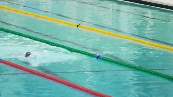 Profesyonel yüzücü yarışmaya, su sporlarına, aktif yaşam tarzına hazırlanıyor — Stok video