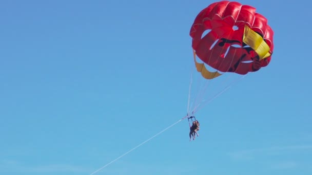 Aufgeregte Touristen parasailing hoch in den Himmel, Extremsport, Sommeraktivitäten — Stockvideo