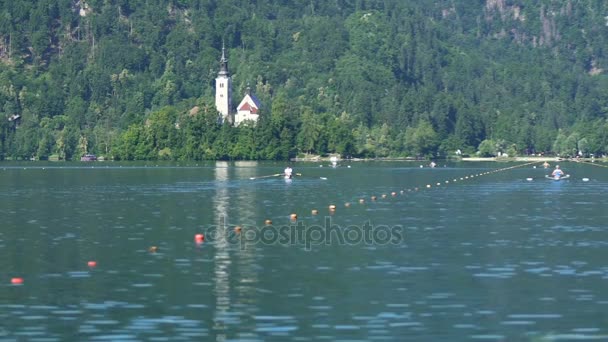 Athlètes qualifiés ramant sur un magnifique lac Bled en Slovénie, mode de vie sain — Video